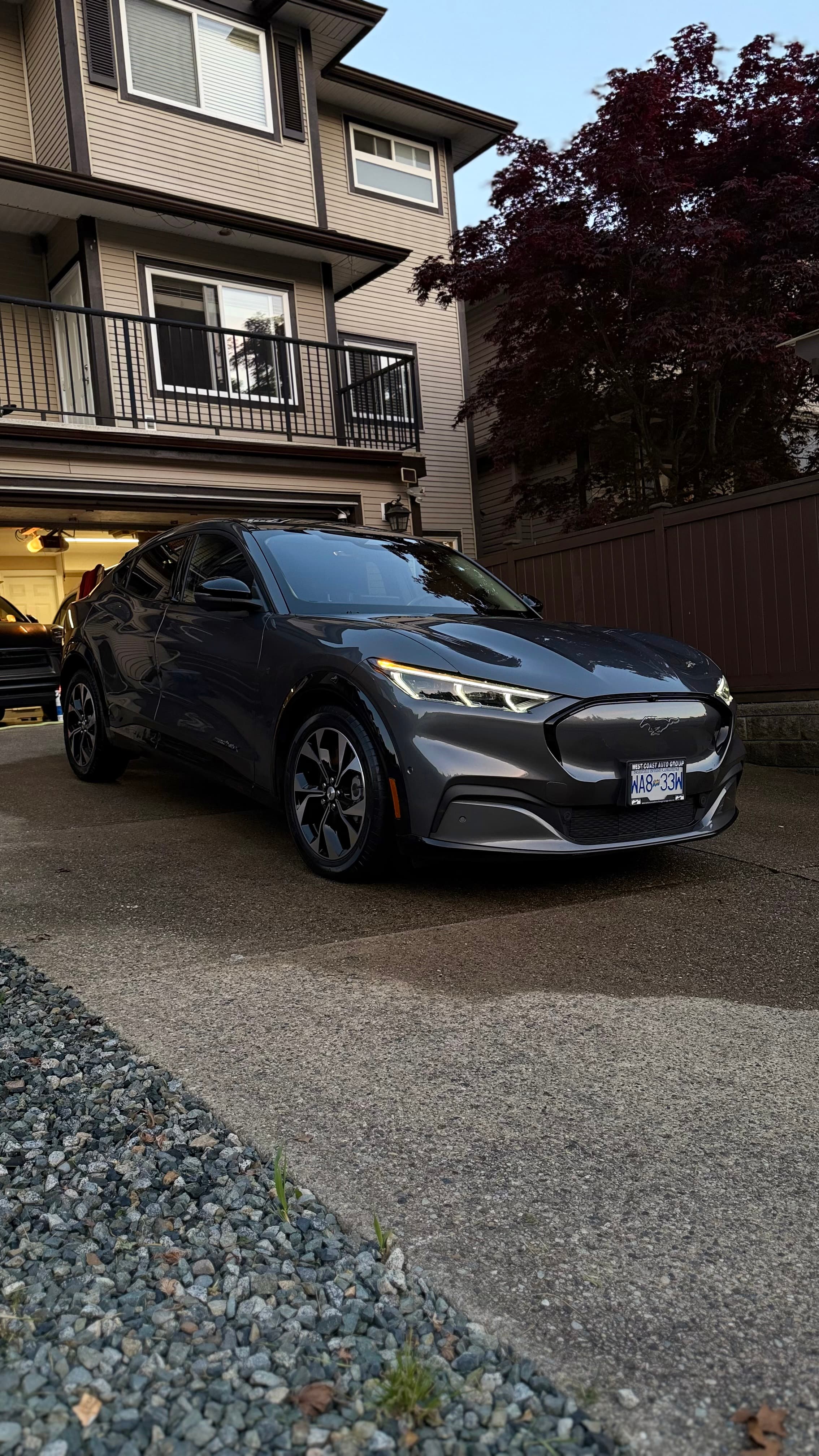 Paint correction close-up — swirl-free finish, Vancouver detailing