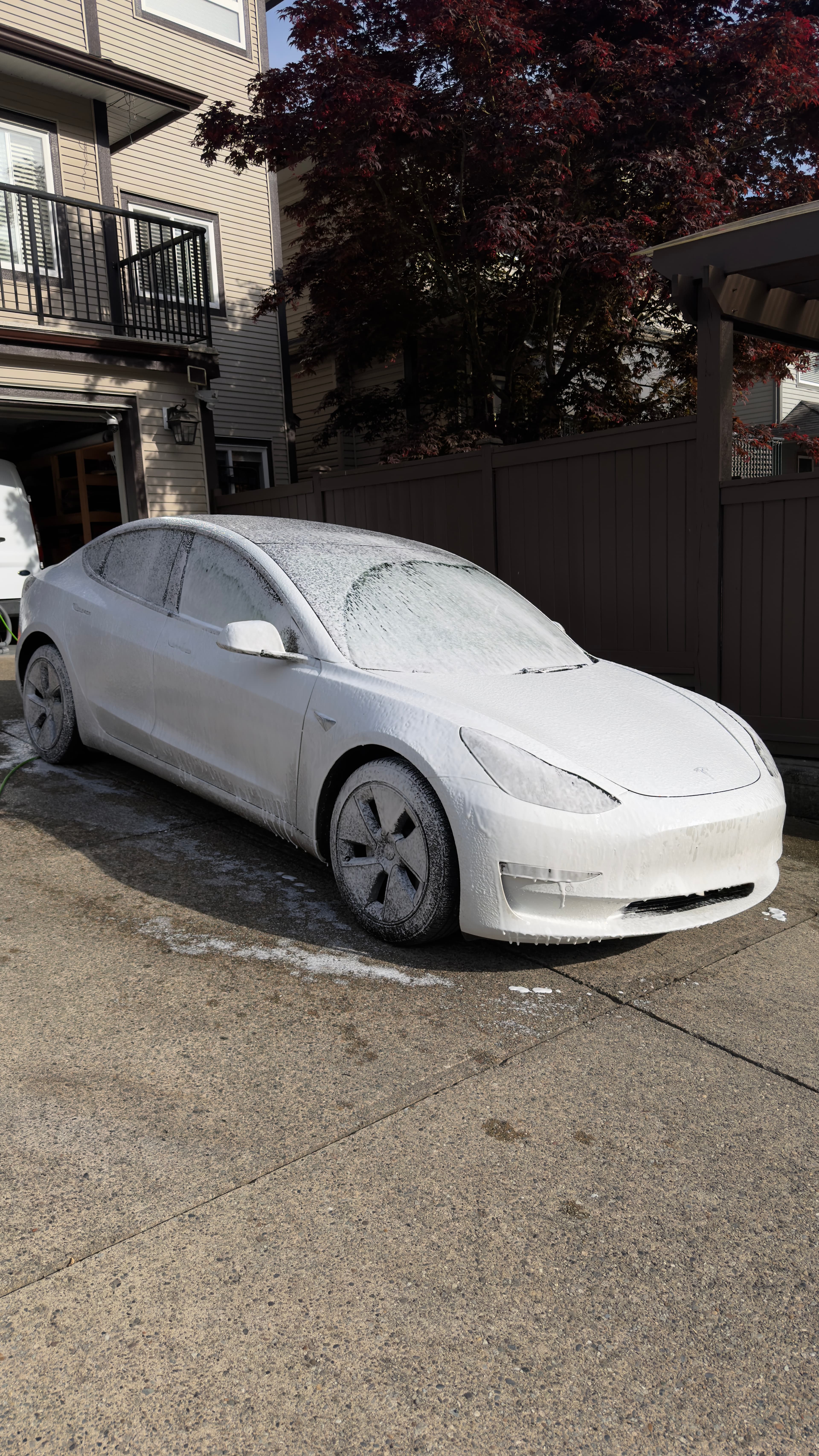 Burnaby car detailing