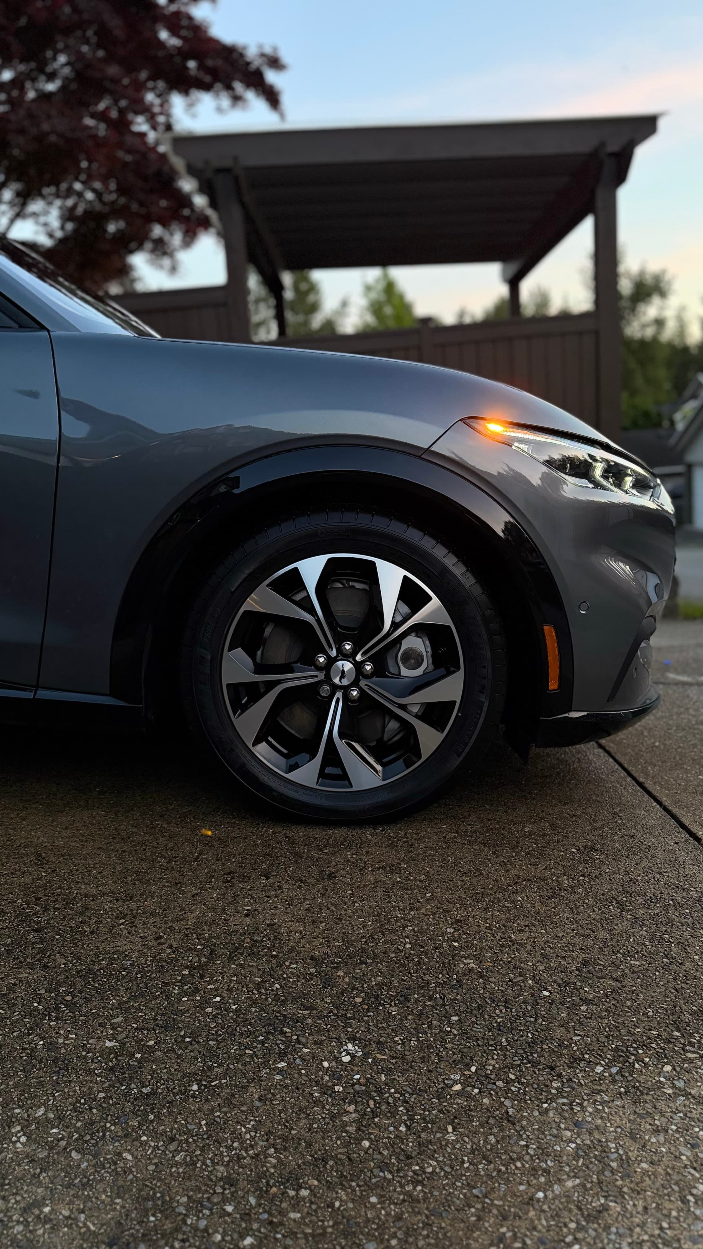 Maple Ridge car detailing